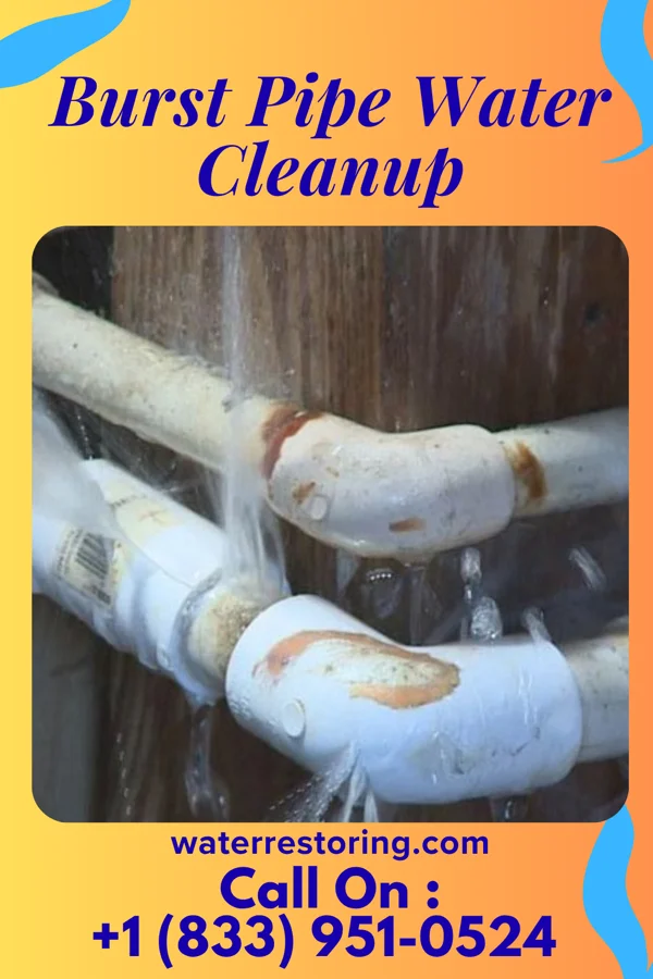 Burst Pipe Water Cleanup in Lake Dallas, TX
