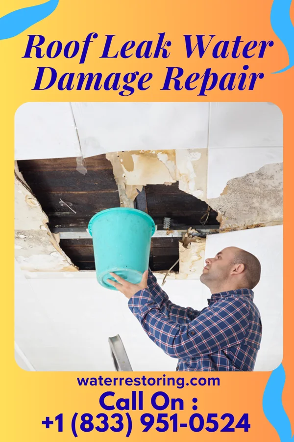 Roof Leak Water Damage Repair in Lake Dallas, TX