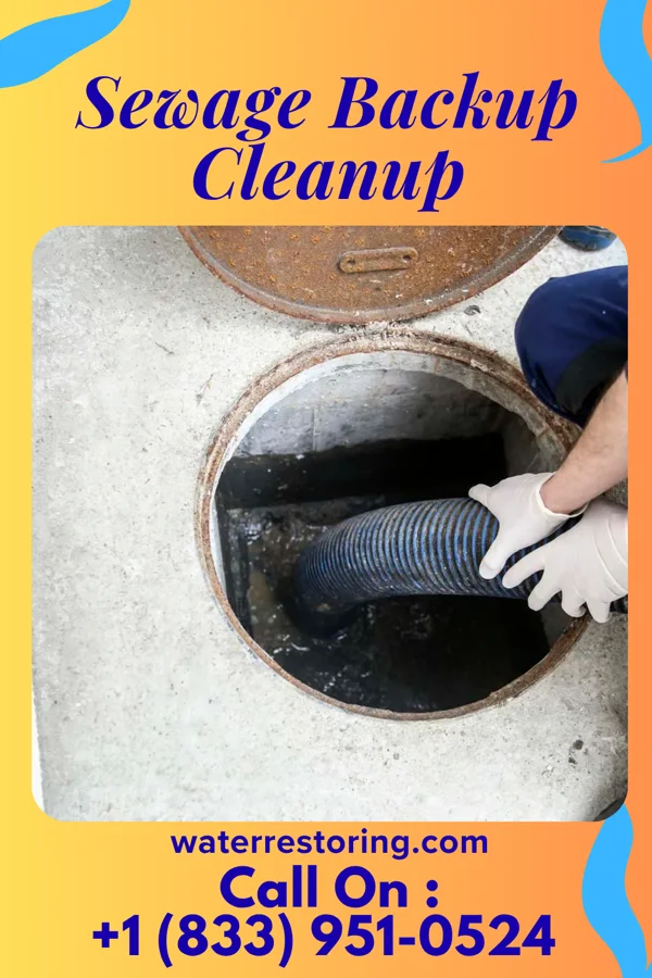 Sewage Backup Cleanup in Lake Dallas, TX