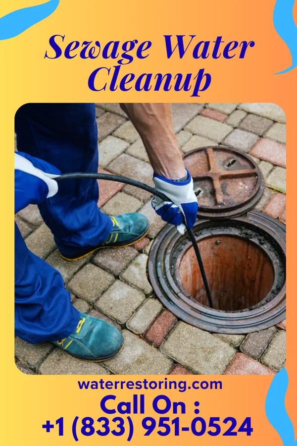 Sewage Water Cleanup in Lake Dallas, TX